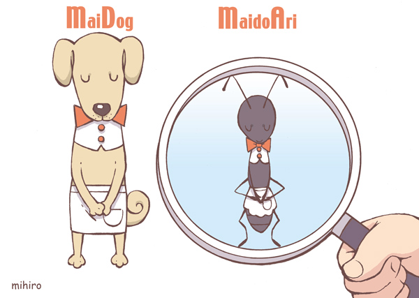 maidog&maidoari