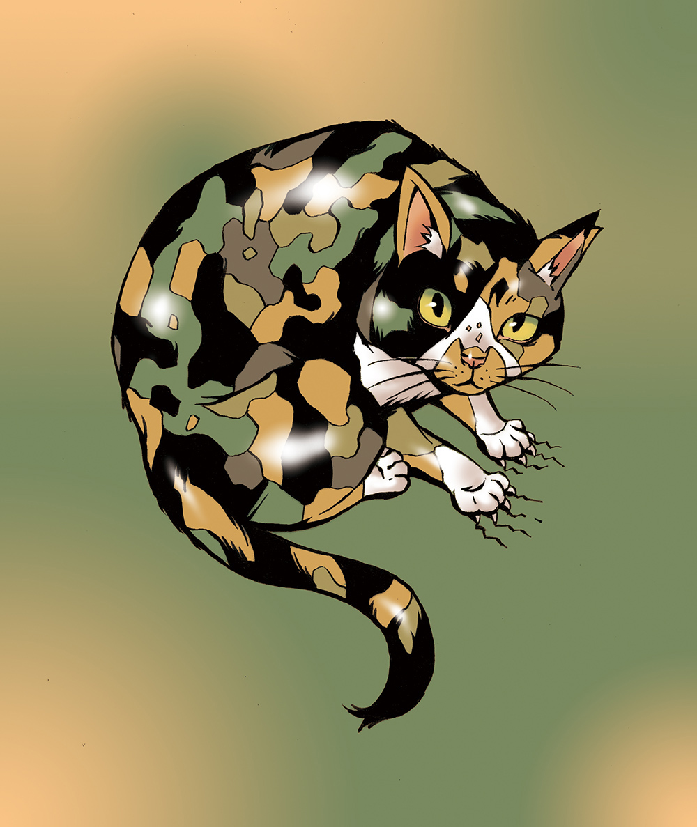 迷彩猫:RGB:m