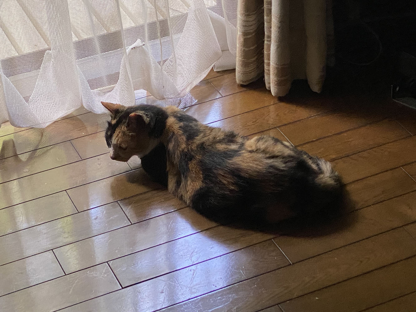 のあ:8月:03