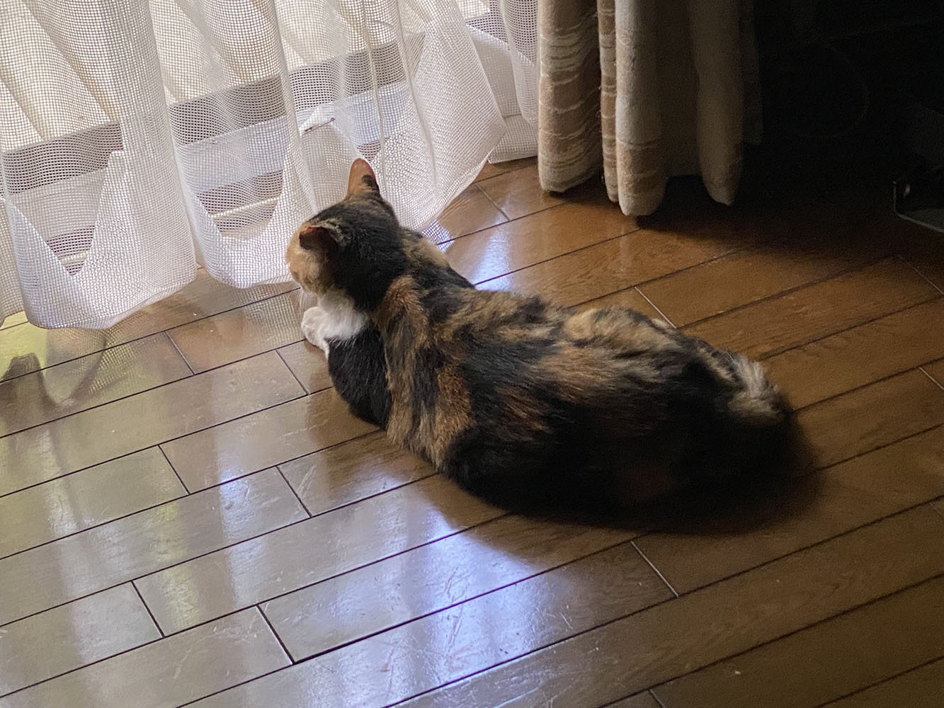 のあ:8月:04
