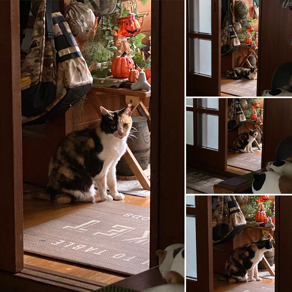 のあ:8月:まとめ:01