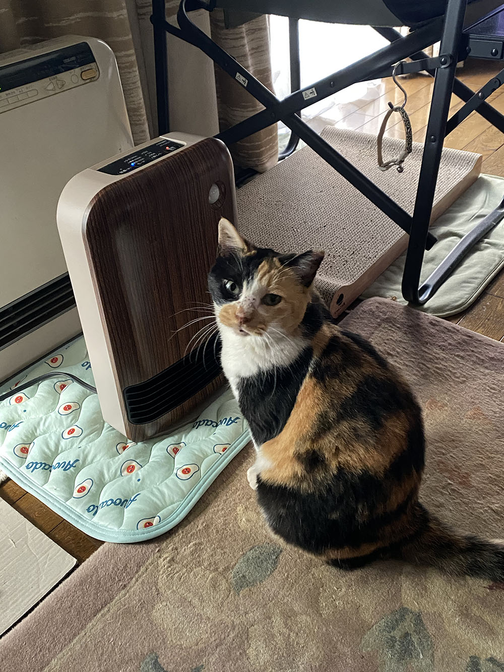 のあヒーターの前:01