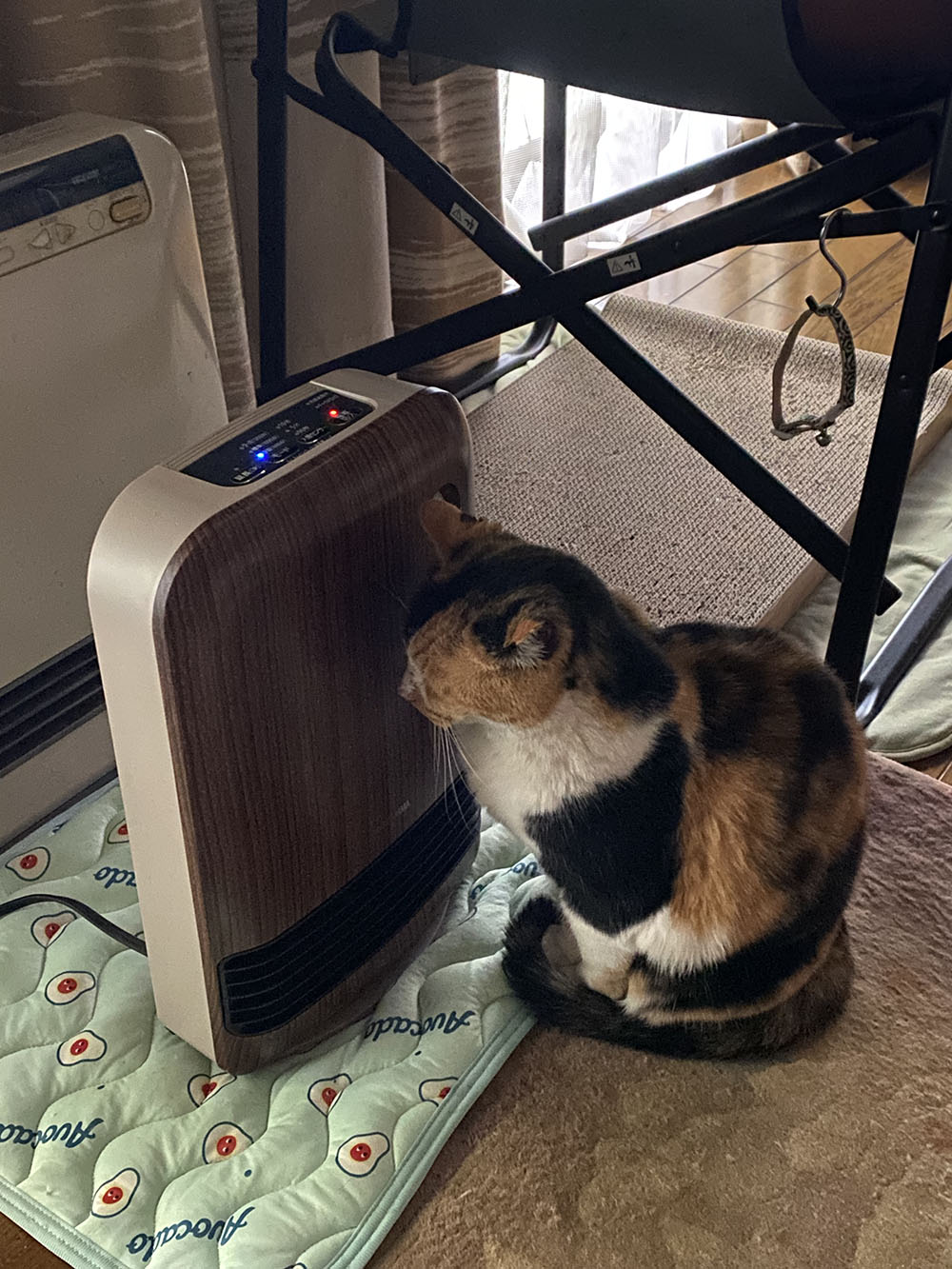 のあヒーターの前:02