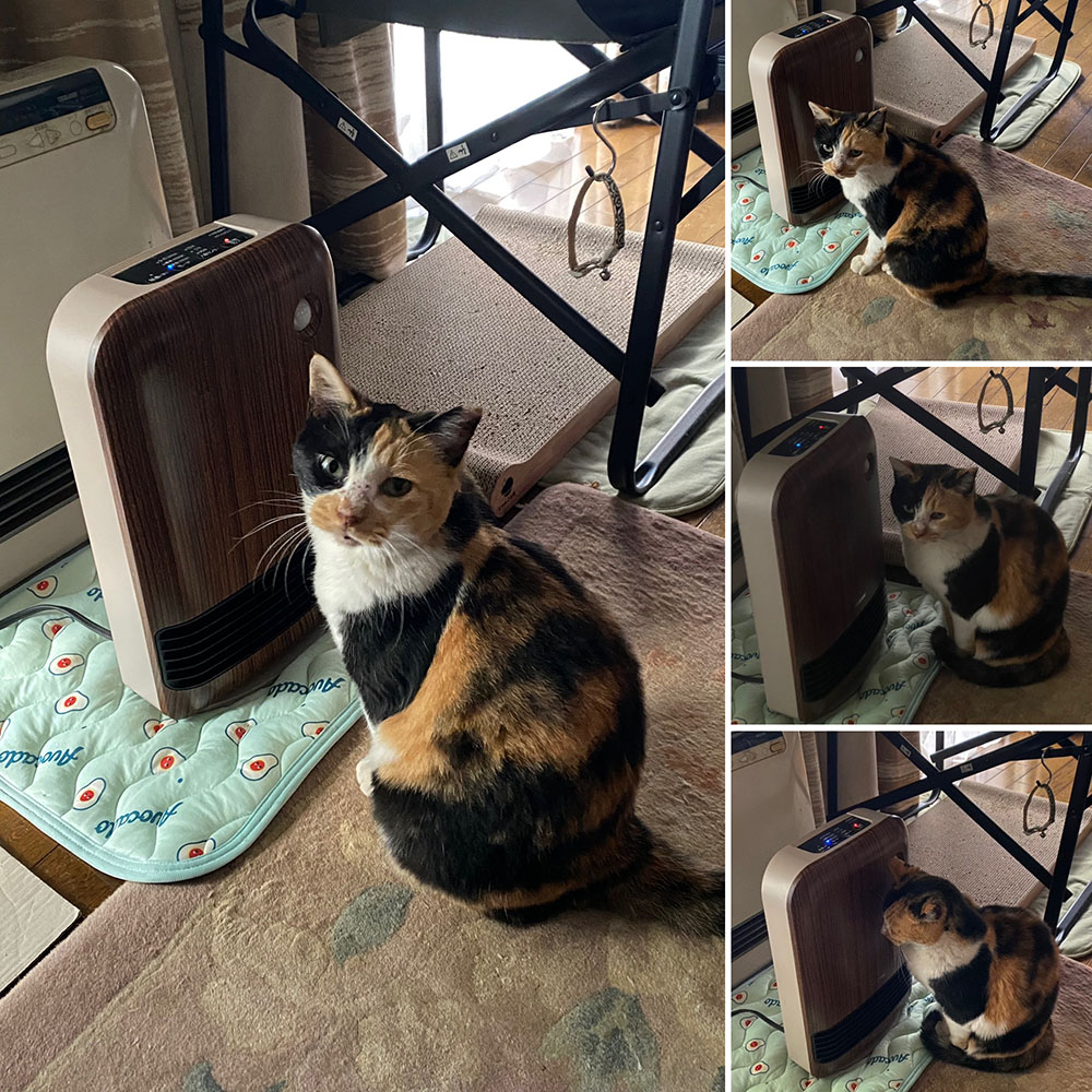 のあヒーターの前:まとめ