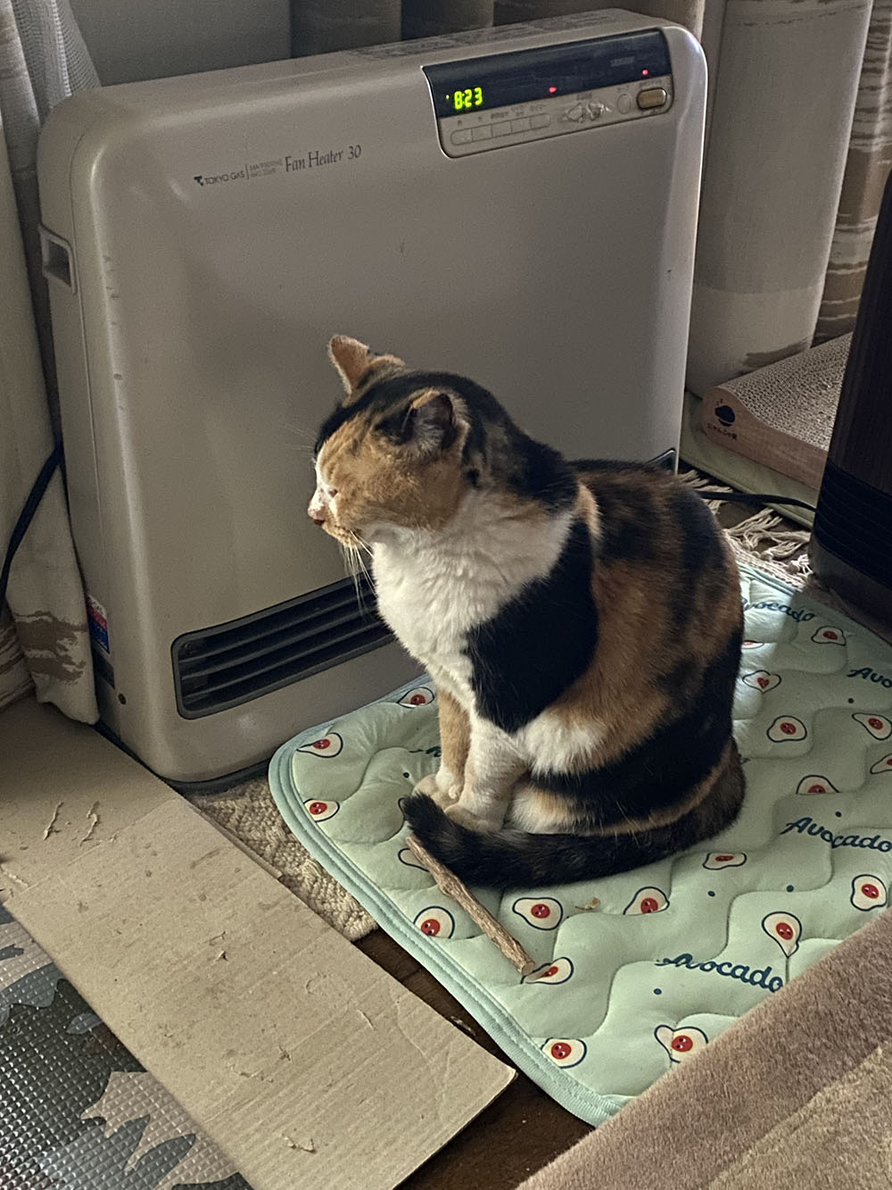 のあ:ガスヒーターの前:01