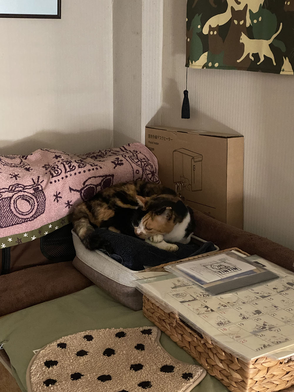 のあ:11月:寝床:01