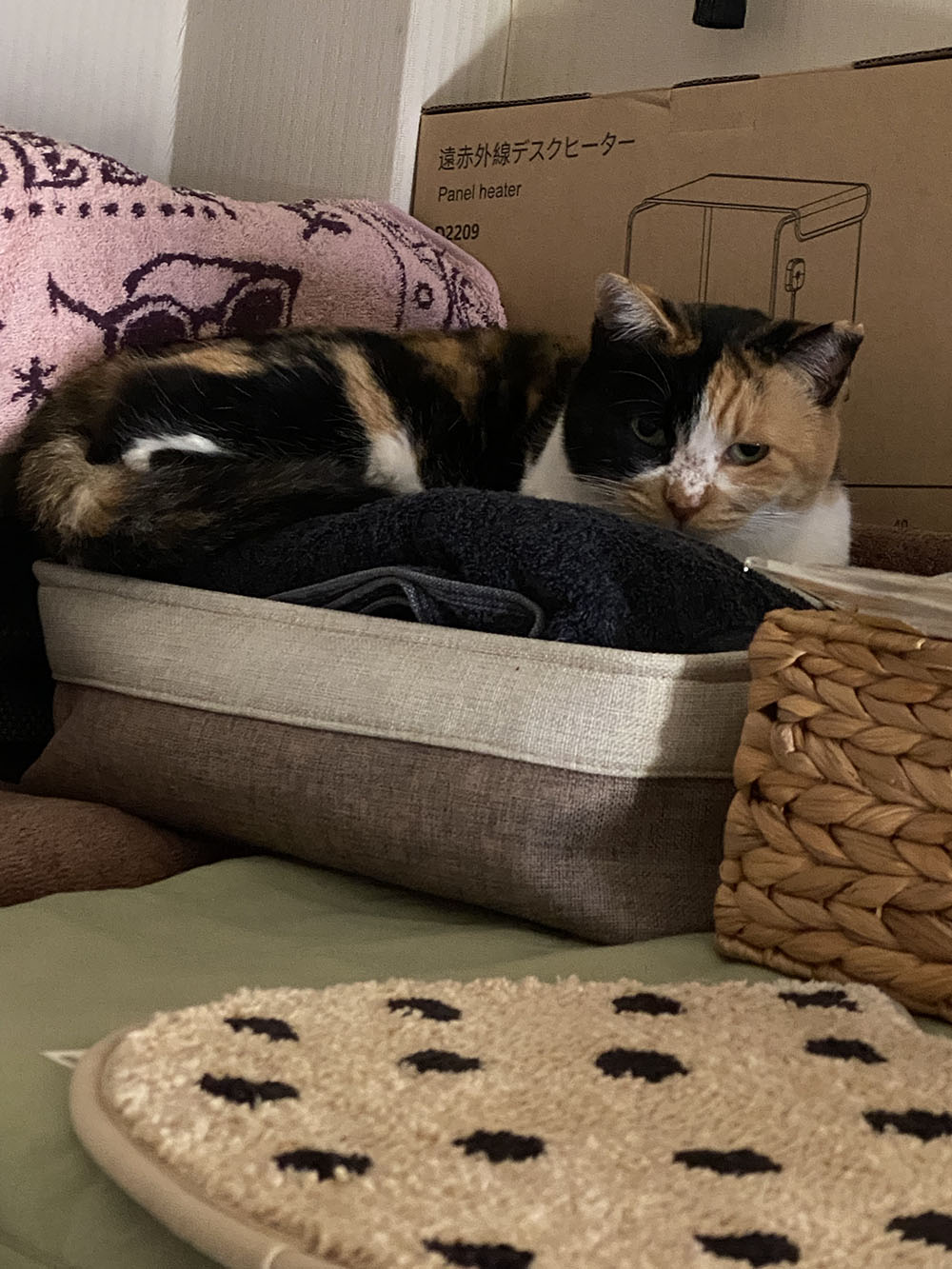 のあ:P:11月:寝床:02