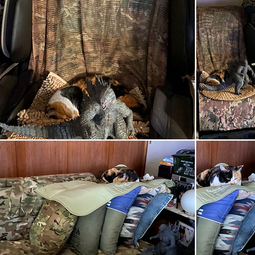 のあ:寝床:まとめ