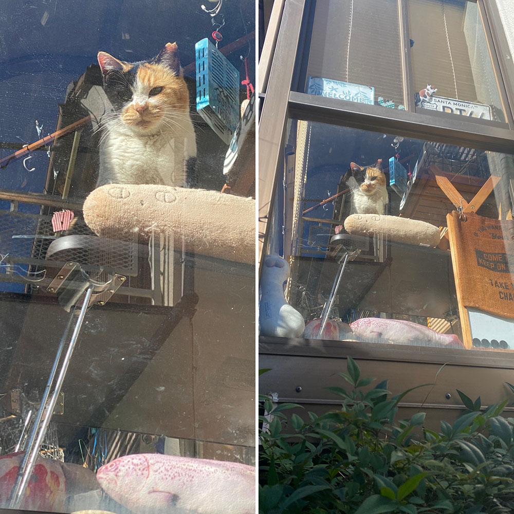 サンルーム外から:まとめ