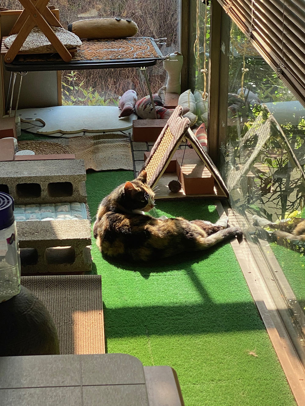 のあ:5月:01