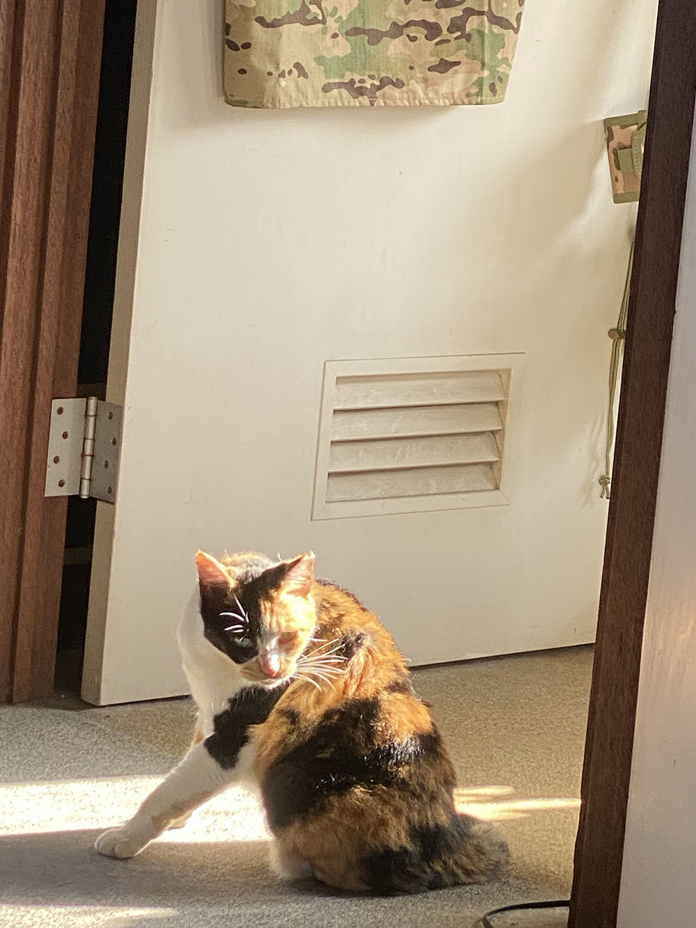 のあ:10月:01