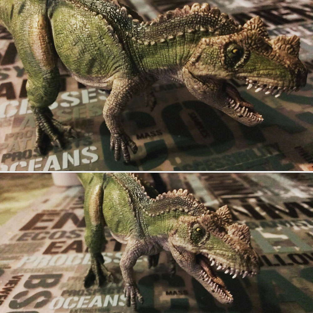 ケラトサウルス01