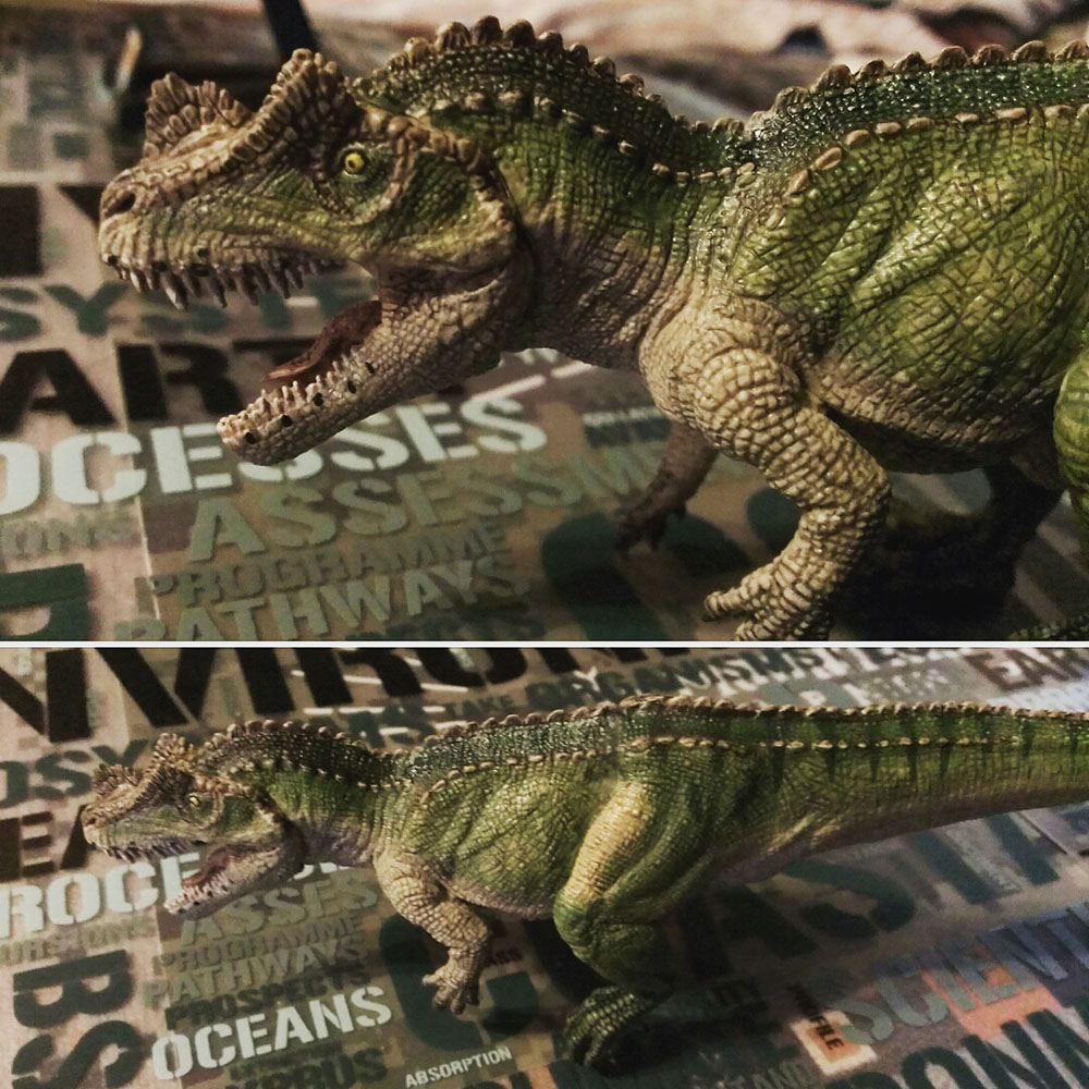 ケラトサウルス02